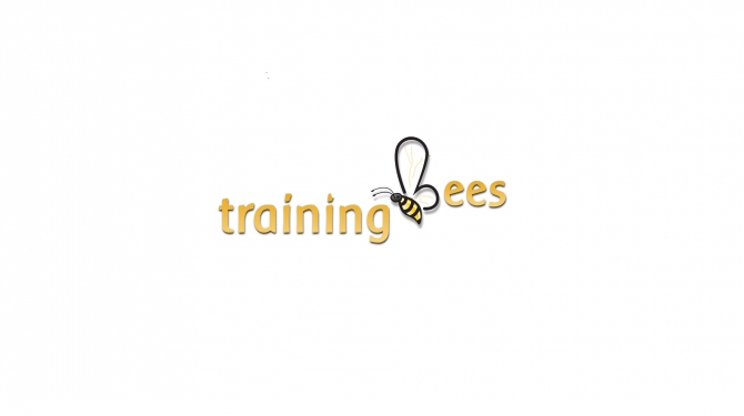 SAP Vistex online training @ trainingbees.com